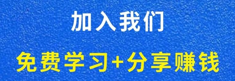 白菜价解锁20000+N个赚钱机会,加入轻创终点站会员,全站资源免费学习。-4503资源库